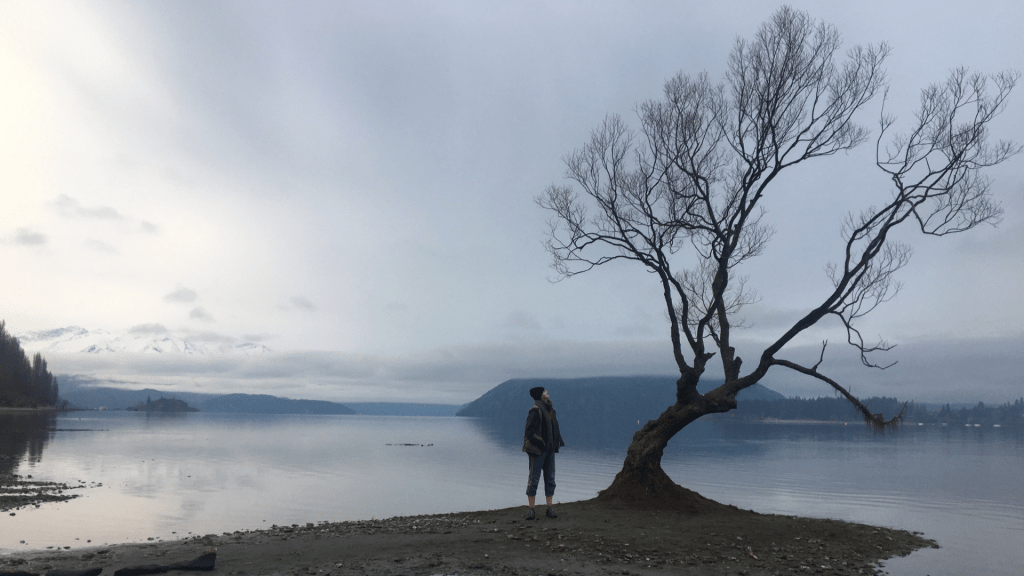 A photo of a woman looking up at the wanaka tree in New Zealand for a post on the truth about travel burnout
