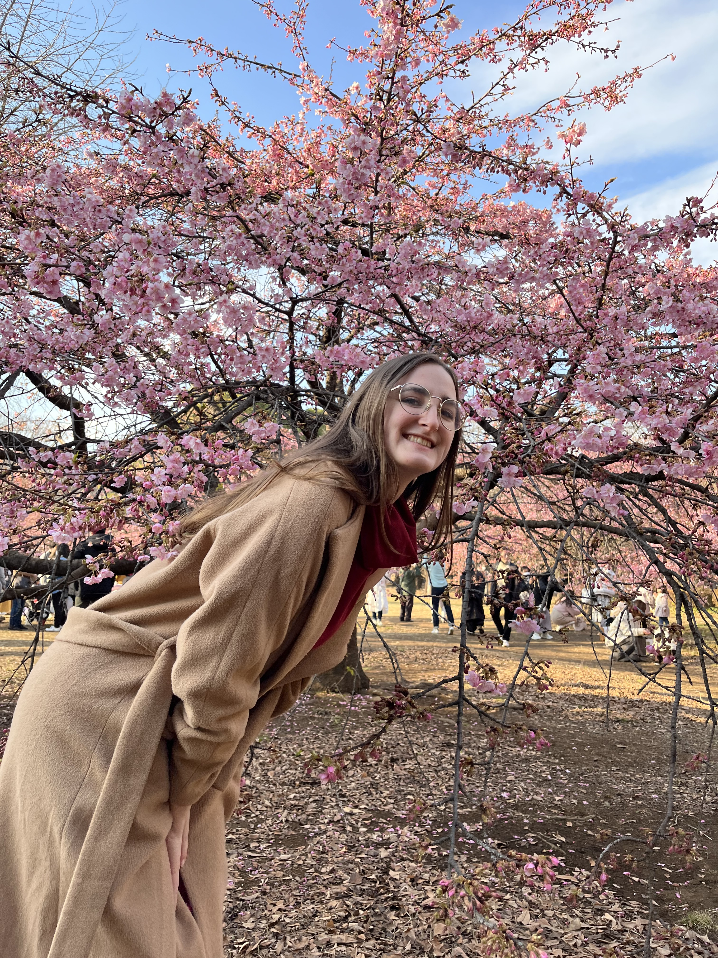 Photo of Yoyogi Park, best park in tokyo