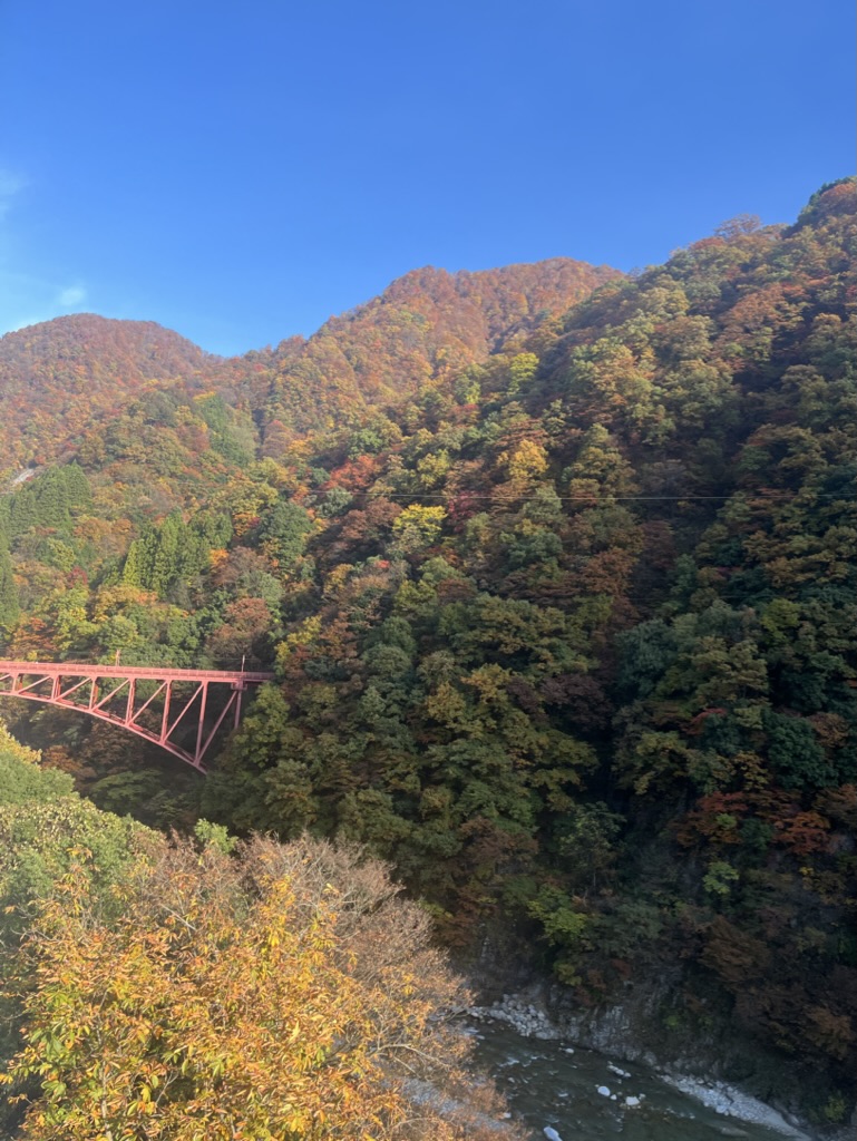 Kurobe Gorge Autumn Leaves Fall Foliage Bridge