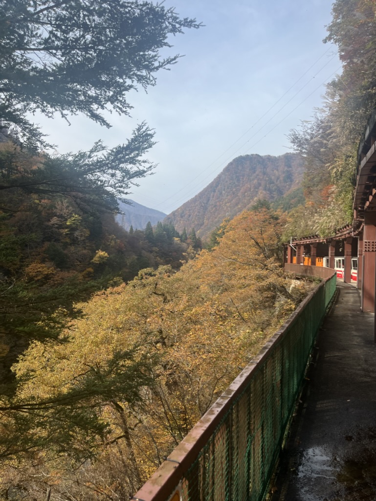 Photo of scenic train with autumn leaves in Kurobe Gorge